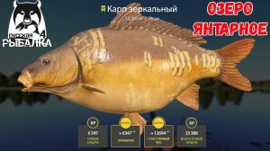 АКТИВНЫЙ КЛЕВ ЦВЕТНЫХ КАРПОВ НА ЯНТАРНОМ ОЗЕРЕ В РУССКОЙ РЫБАЛКЕ 4 РР4