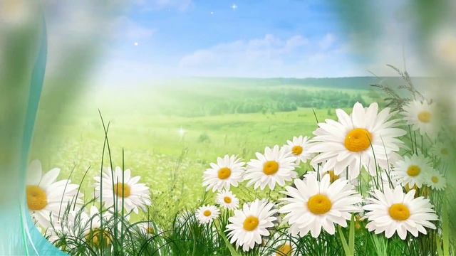 Белые Ромашки! смотреть онлайн