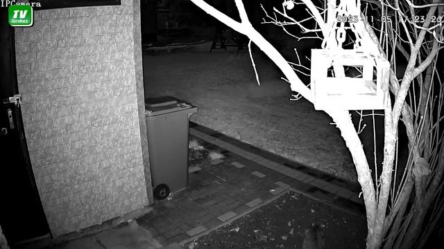 Дачные зарисовки. Ноябрь 2023 смотреть онлайн