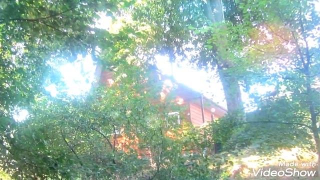 Меленковский край  💖 Верхозерье 💖🏡🐕🦋