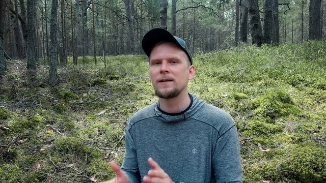 ВСЁ ПРО СОЛНЕЧНЫЕ ПАНЕЛИ
