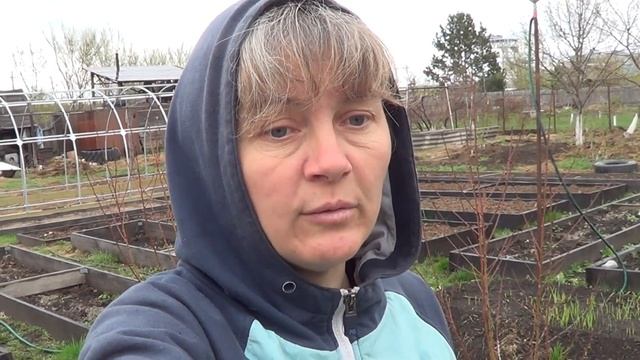 Что с земляникой как перезимовала смотреть онлайн