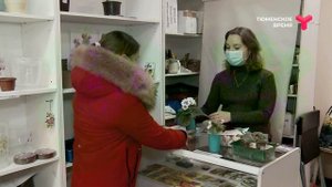 Заработать на комнатных растениях