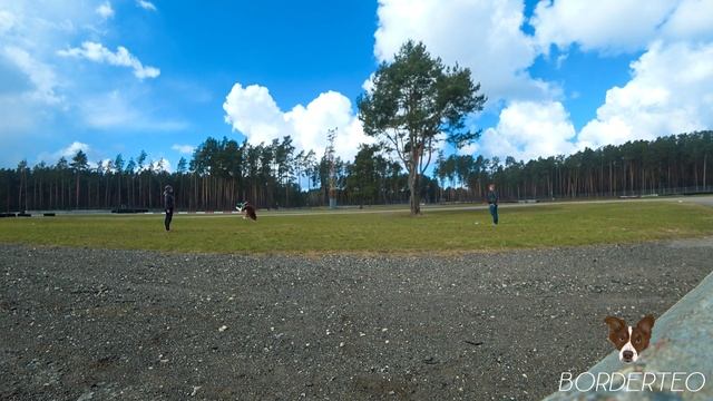 Vlog | Дача, Море : Border collies banda?❤️? смотреть онлайн