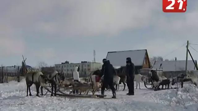 Киномарафон Северный характер в Ловозере