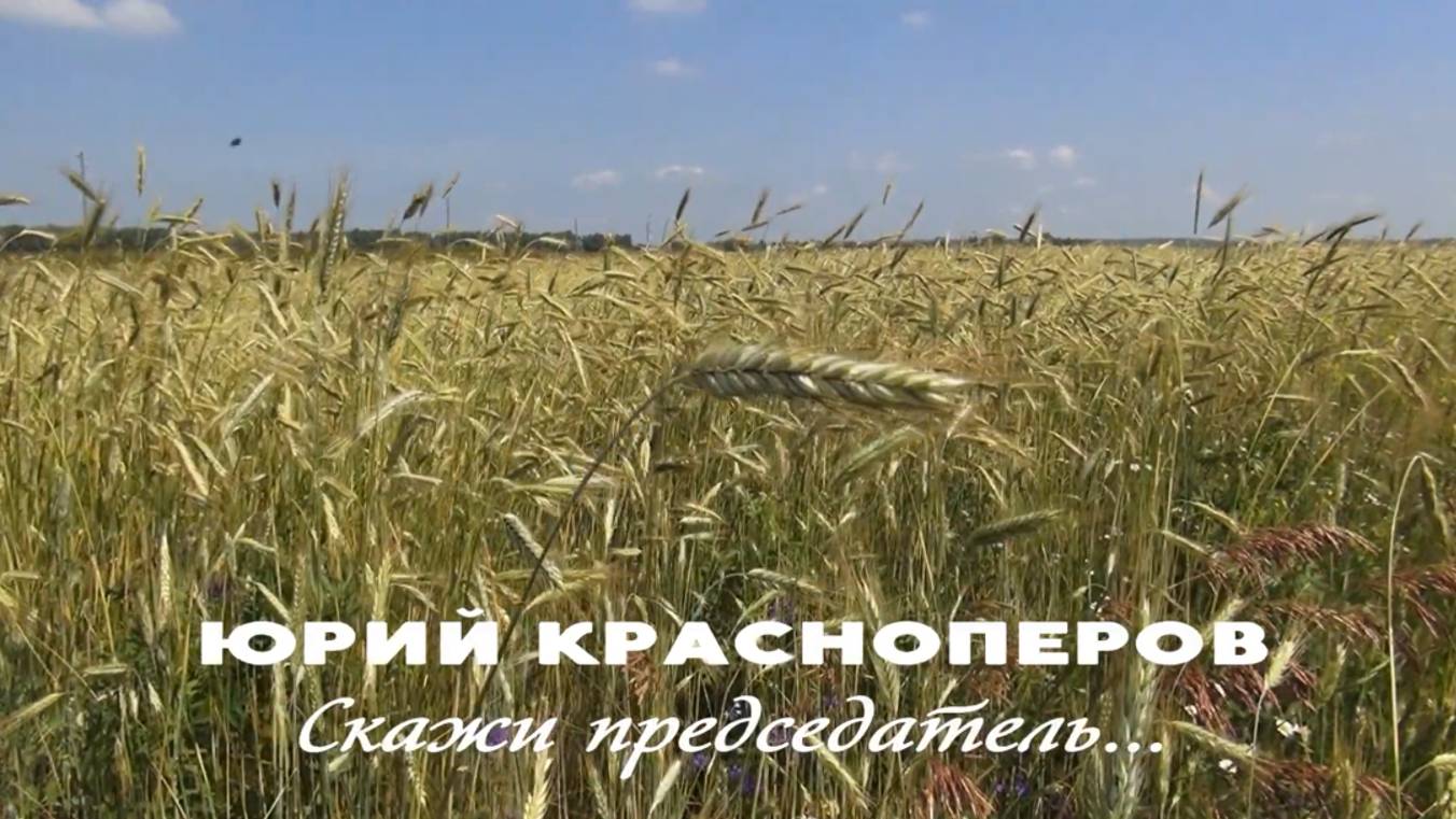 Юрий Красноперов - Скажи председатель