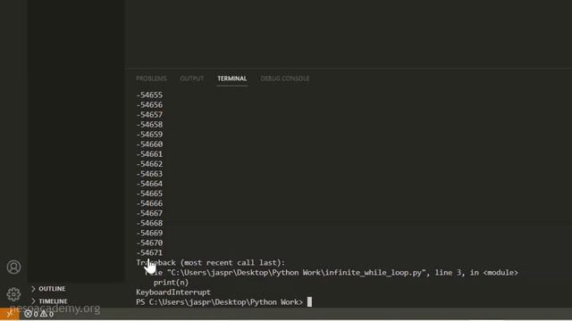 The Infinite while Loop in Python