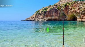 My fishing world квест на Корифена большая без прилова.