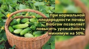 азотно калийные минеральные удобрения