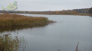 С этими секретами только успеваю крючёк из пасти карпов вытаскивать!В октябре ноябре клюет как лето