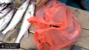 рыбалка в астрахани в октябре видео