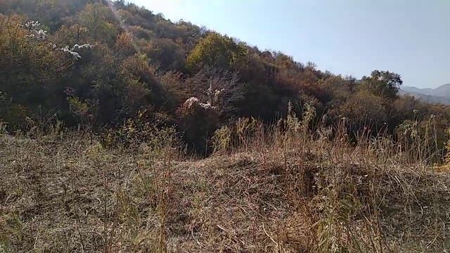 Загадочное озеро в горах продолжение смотреть онлайн