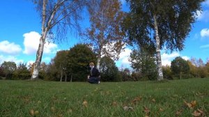 Дрессировка той-терьера