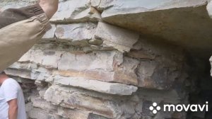 НОЕВ КОВЧЕГ/Завершение экспедиции 56 канала/2/