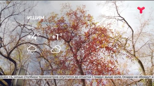 Погода в ноябре | Тюменская область смотреть онлайн
