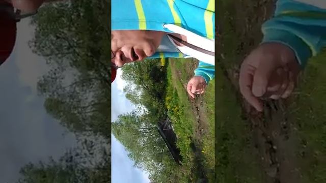 Первый день рытья дренажной траншеи по периметру участка смотреть онлайн