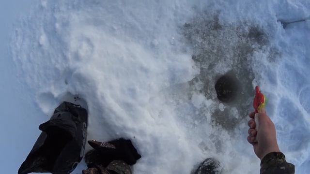 Выловил всю рыбу смотреть онлайн