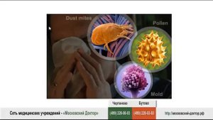 Корочки в носу