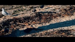 Набережная Приморско-Ахтарска ❤️