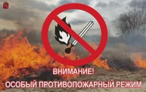 С 6 июня 2024 года на территории Волгоградской области введён особый противопожарный режим