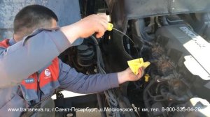 DAF XF105 - ОБЗОР ТЯГАЧА ОТ КОМПАНИИ "ТРАНСНЕВА"