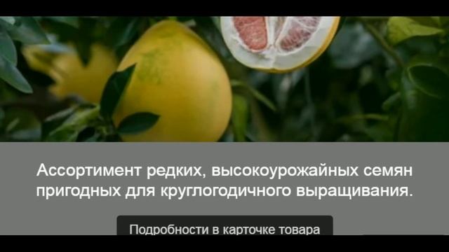 Помело Семена / Торговая точка - Семяныч: смотреть онлайн