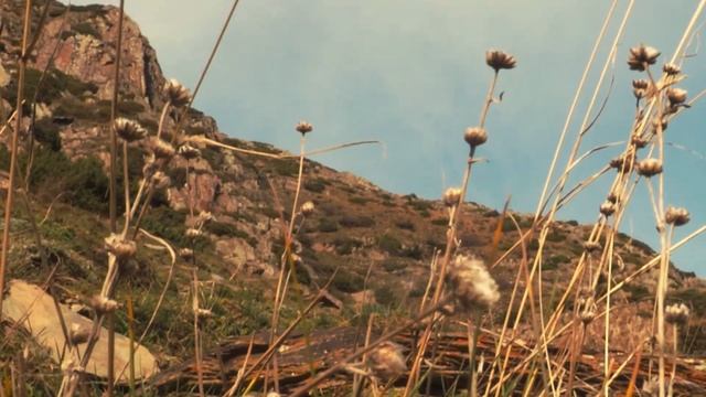 KAZBEGI GEORGIA EDIT (OLYMPUS OM-D E-M10 Mark III) смотреть онлайн