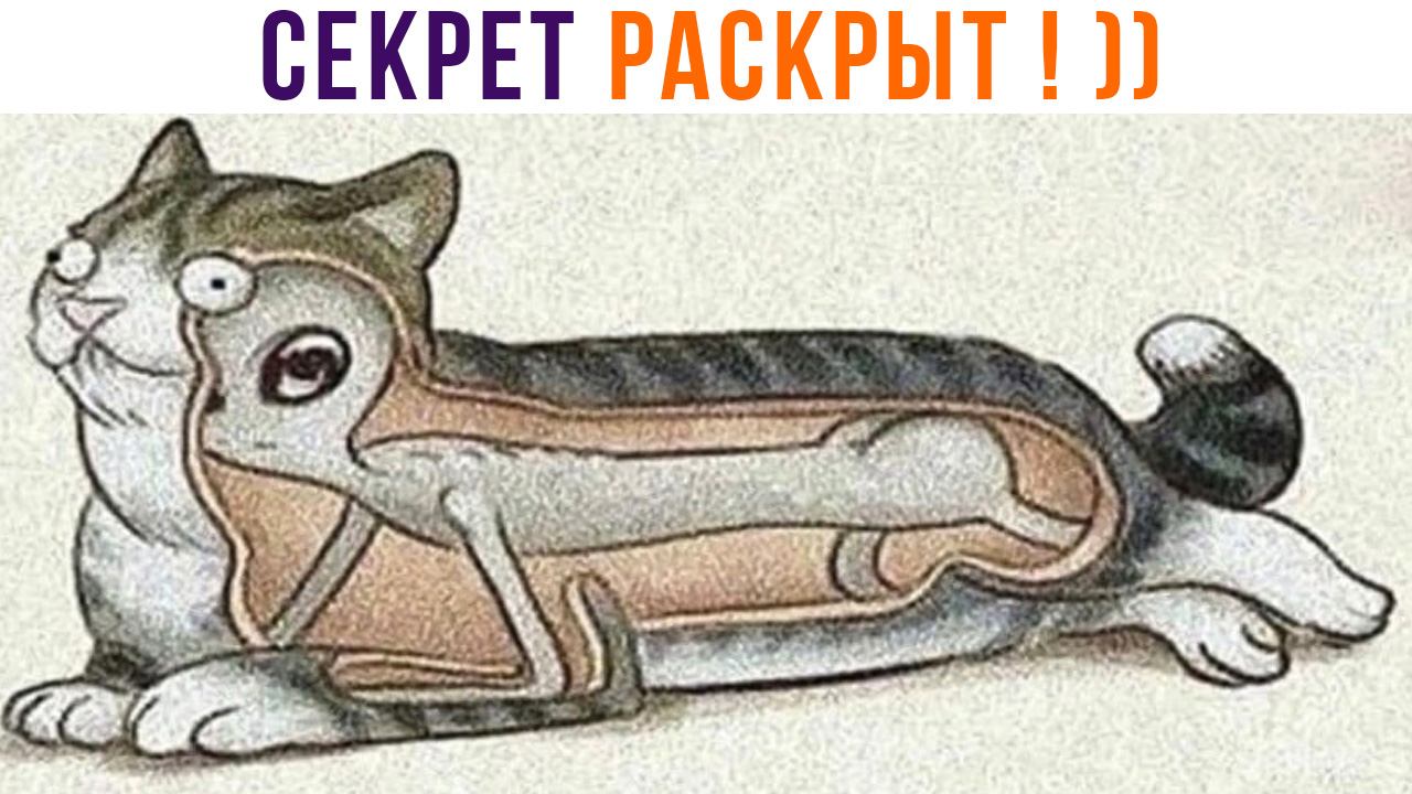СЕКРЕТ РАСКРЫТ! ))) Приколы с котами | Мемозг 1288 смотреть онлайн
