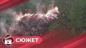 Ликвидированы два крупных лесных пожара вблизи поселка Белая Гора и села Кенг-Кюель Абыйского района