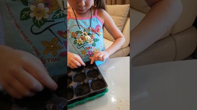 Сажаем семена горошка, перчика и Петунии смотреть онлайн