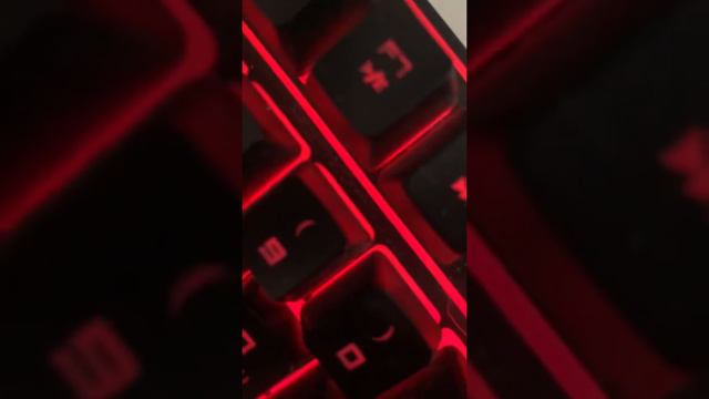 ELDAR NET NET смотреть онлайн