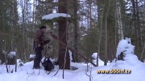 Охота на пушного зверя (2 часть)