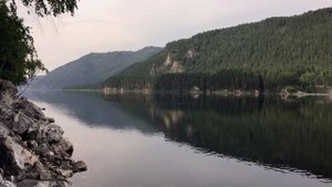 Лес Река Енисей