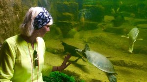 Мой отпуск в Тайланде