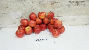 Jonagold Decost apple / Яблоко Джонаголд Декоста