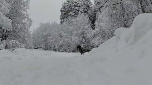 Полноприводный электрофэтбайк #2