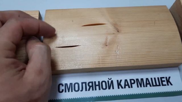 Пороки древесины