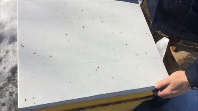 Итоги зимовки пчел на улице. Ранний очистительный облет. Понос у пчел. Как определить? смотреть онлайн