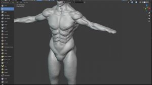 туториал по анатомии в Блендер для художников и скульпторов
