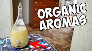 Обзор Аромалампы Organic Aromas с Алиэкспресс