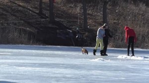 Ловля крупного карася