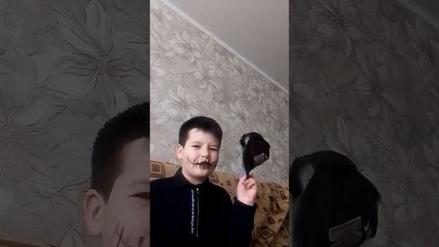 книгу снов подменили смотреть онлайн