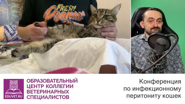 Неврологический ФИП🟢История Пиратика на конференции по инфекционному перитониту кошек 14.05.22