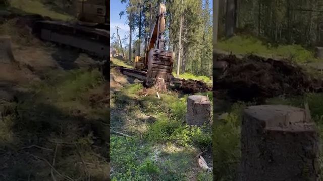 Выкорчевка пней деревьев с участка !