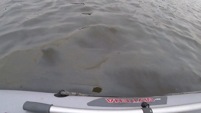 Не ожидал такого Клева! Открытие Спиннингового сезона 2019. смотреть онлайн