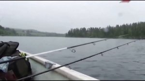 Ловля Гольца