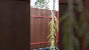 Фасад Строй Монтаж Забор из досок на металлическом каркасе Якутск Осень 2018