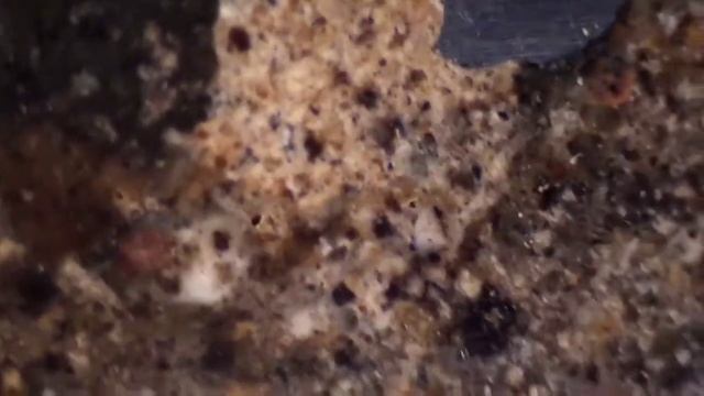 Говардит под увеличением 3мм . смотреть онлайн