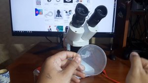 Подсветка для микроскопа своими руками