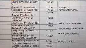 КаталОг лилий весна 2023г. Часть вторая